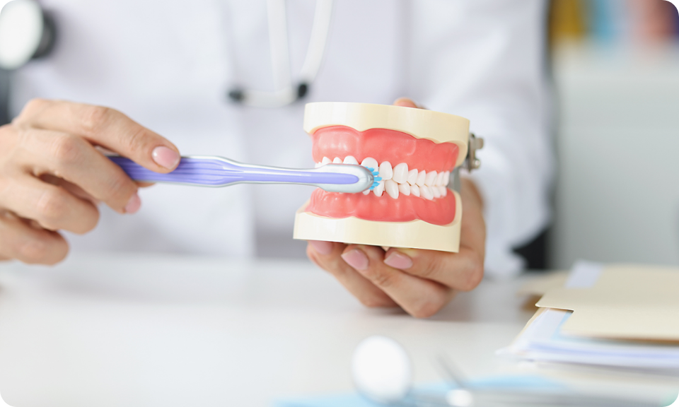 歯みがきの写真