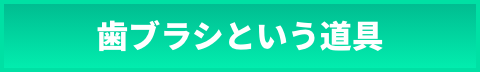 歯ブラシという道具